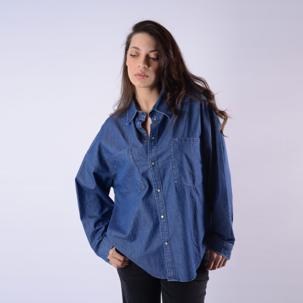 LOIS CHEMISE DINO-90 TOTA FEM  LL