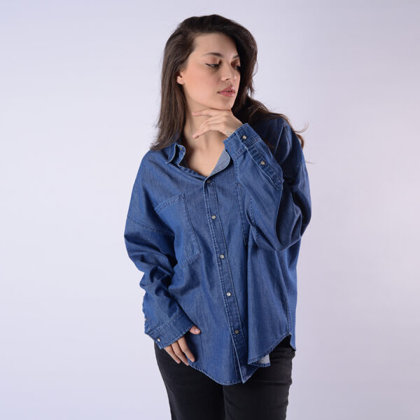 LOIS CHEMISE DINO-90 TOTA FEM  LL