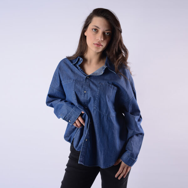 LOIS CHEMISE DINO-90 TOTA FEM  LL