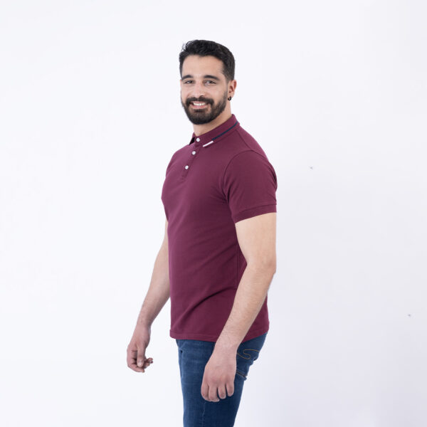 Lee Cooper Polo Maille-08 Mason-2 Homme-Tx Nat