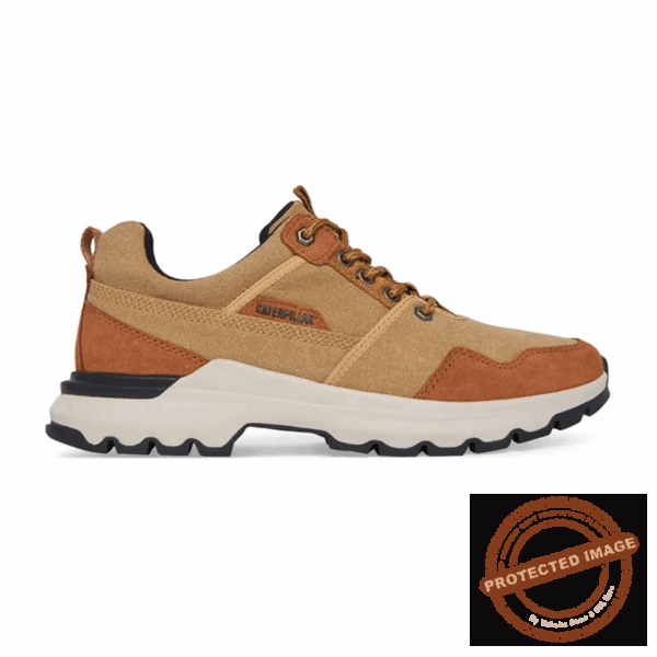 Cat Chaussures Colorado Sneaker Curry